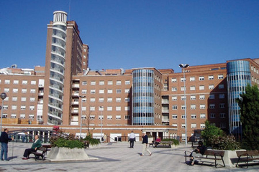 Hospital de Cruces en Baracaldo (Vizcaya).