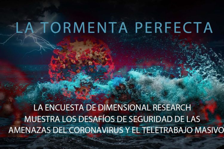 Encuesta Check Point y Dimensional Research