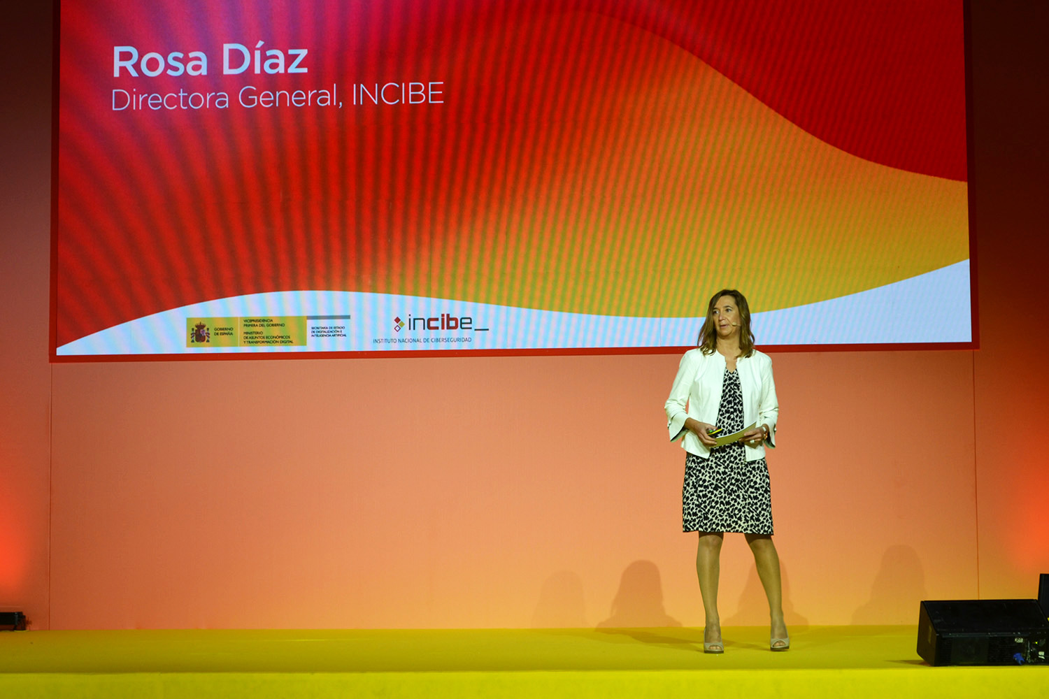 Rosa Díaz, directora general de Incibe, durante el 15 ENISE.