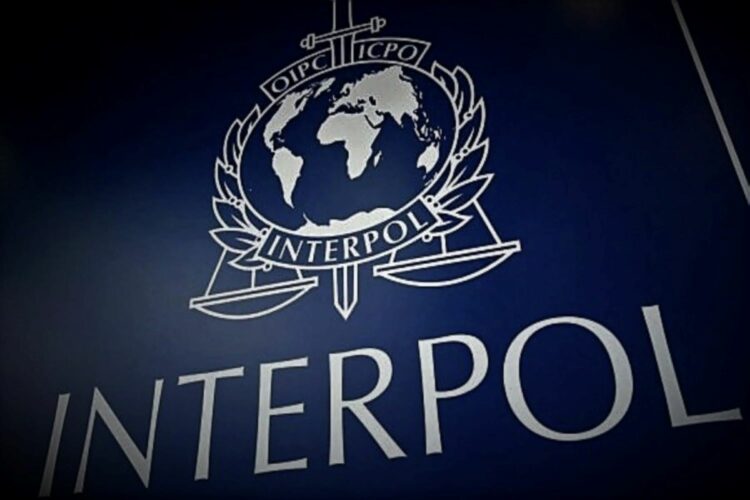 Logo de Interpol en letras blancas sobre fondo azul marino.