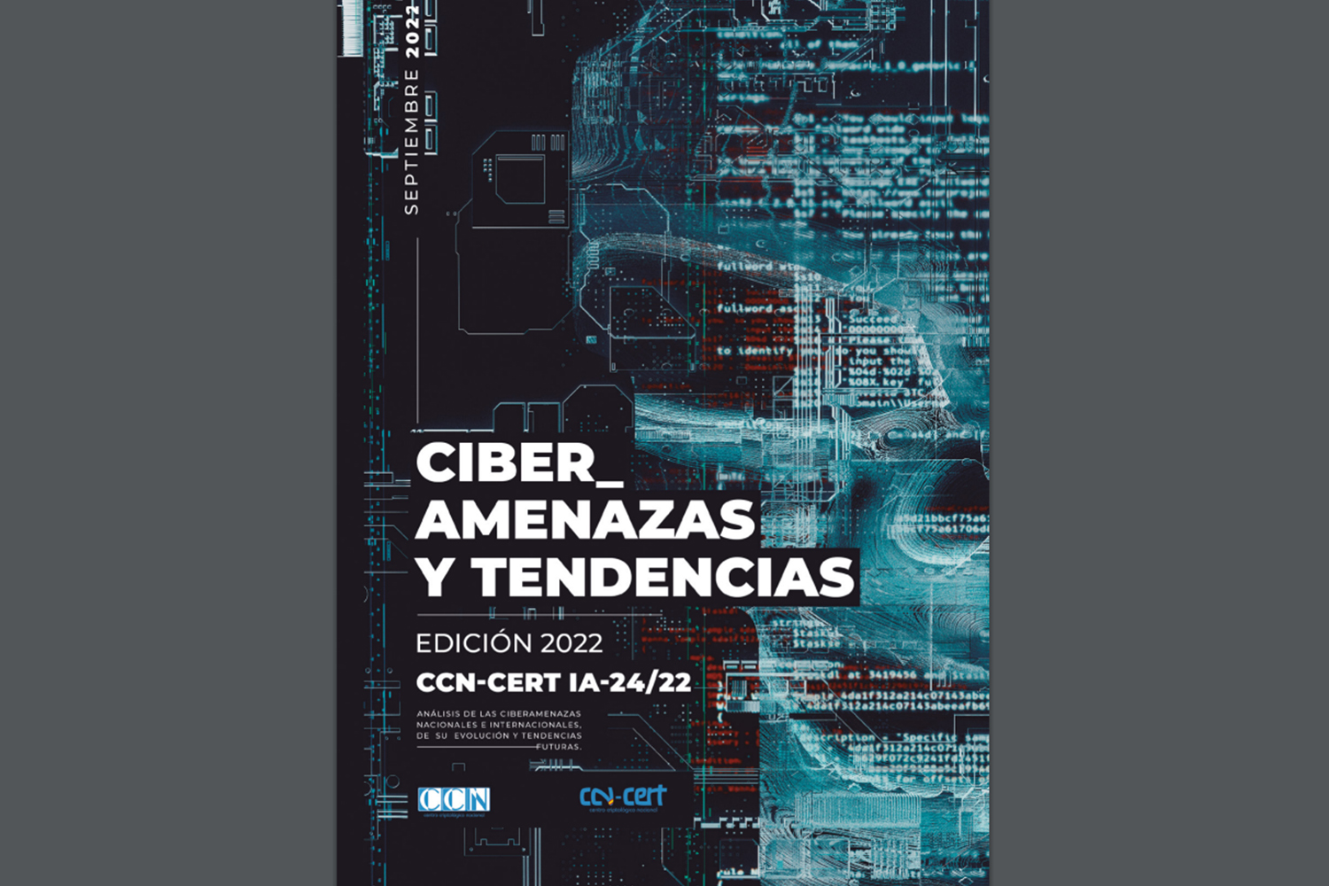 Informe CCN-CERT sobre vulnerabilidades