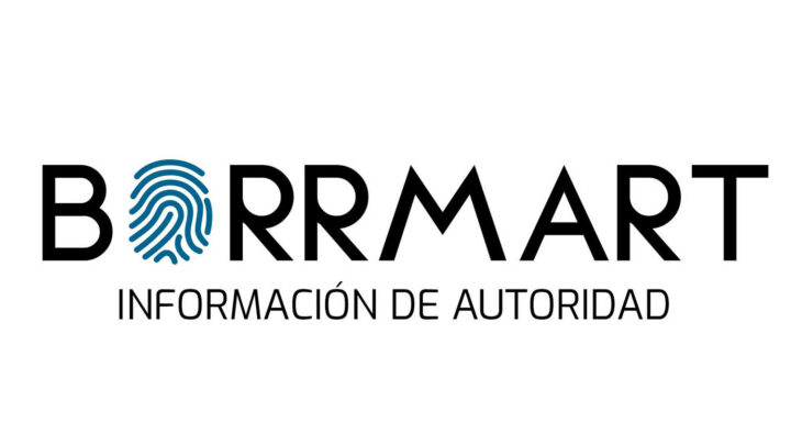 Logo Borrmart
