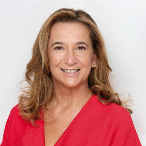 Directora del Observatorio Nacional de Telecomunicaciones y Sociedad de la Información (ONTSI)