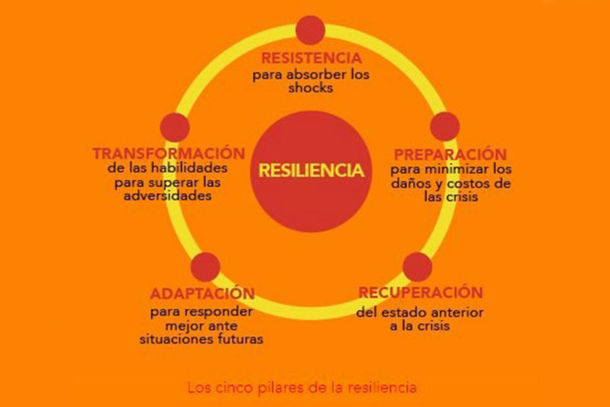 Cinco pilares ciberresiliencia. Recurso de Bidaidea